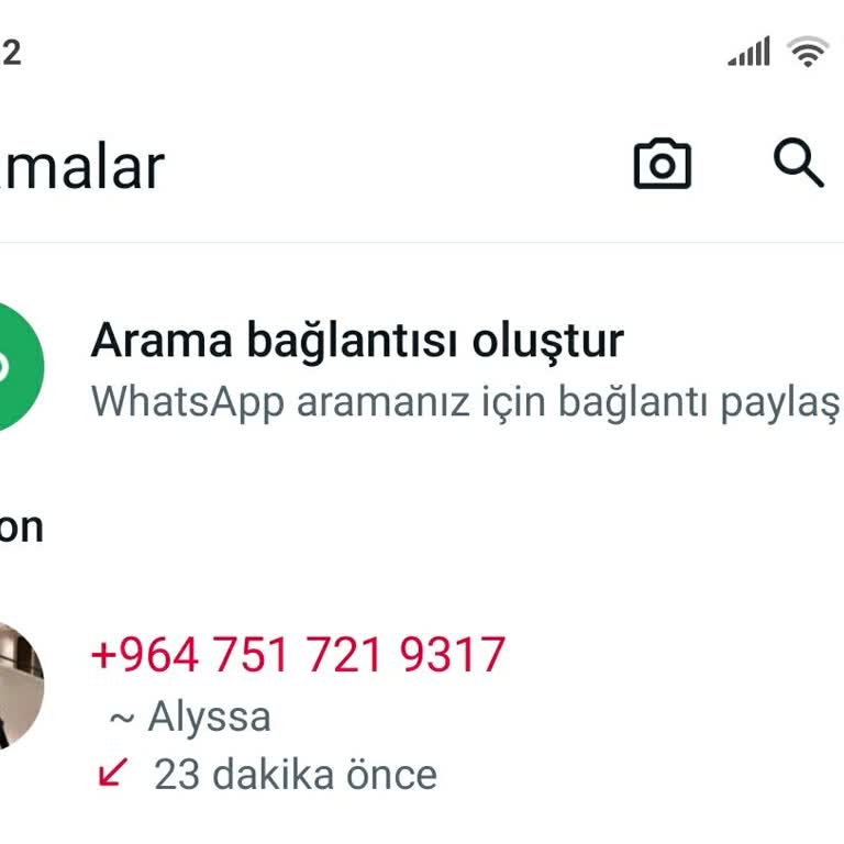 WhatsApp Yurt Dışı Aramalar