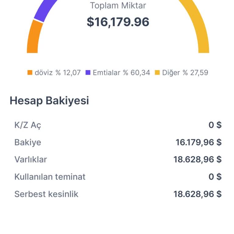 GLD Yatırım Yatırım Sürecinde Karşılaşılan Sorunlar Ve Mağduriyet