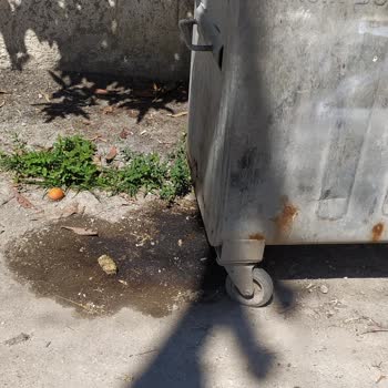 Tarsus Belediyesi Evimin Önündeki Çöp Konteyneri Ve Hızlı Araç Sorunu