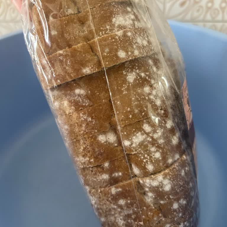 Paşa Çiftliği Küflü Ekmek Müdürün Ve Çalışanlarının Kötü Davranışları