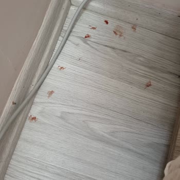 İder Mobilyanın Gardrobu, Ölümcül Risk Yaratıyor