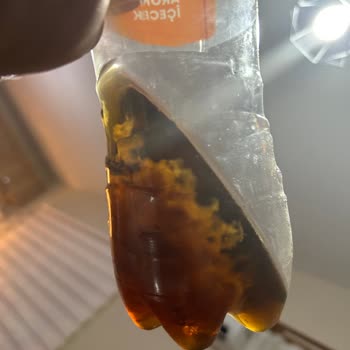 Lipton Ice Tea'de Tekrarlayan Tortu Sorunu