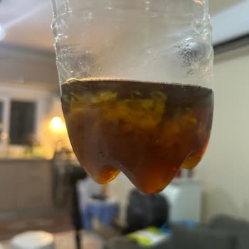 Lipton Ice Tea'de Tekrarlayan Tortu Sorunu