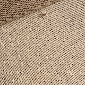 Enza Home Ve Yataş Nakliyat Sıkıntısı