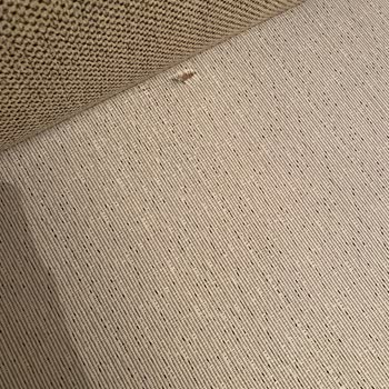 Enza Home Ve Yataş Nakliyat Sıkıntısı