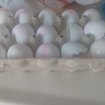 Migros Hemen, Kırık Gelen Yumurtalar