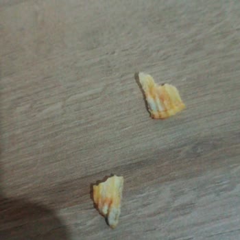 Ruffles Cipste Küf Benzeri Yeşillik