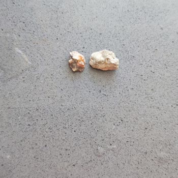 Piyale Makarnadan Çıkan Sert Taşlar