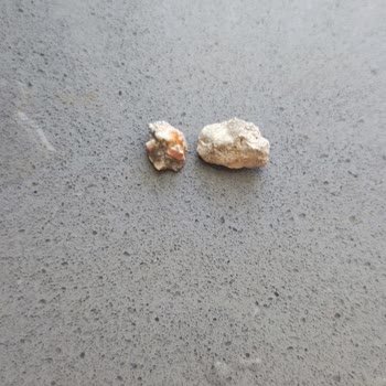 Piyale Makarnadan Çıkan Sert Taşlar