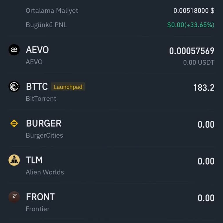 Binance Spot Hesabımda Koinlerim Yok!