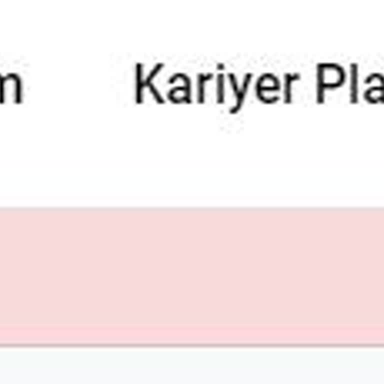 Kariyer.net Sitesi Başvurumu Aktif Etmiyor.