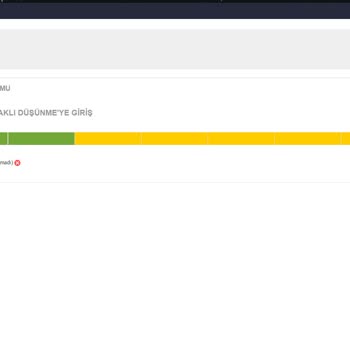 Bilgeİş Tasarım Odaklı Düşünme Kursunda Notlandırma Sorunu