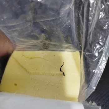 Gazi Bey Süt Çiftliği Tost Peynirinin İçinde Plastik İplik Çıktı.