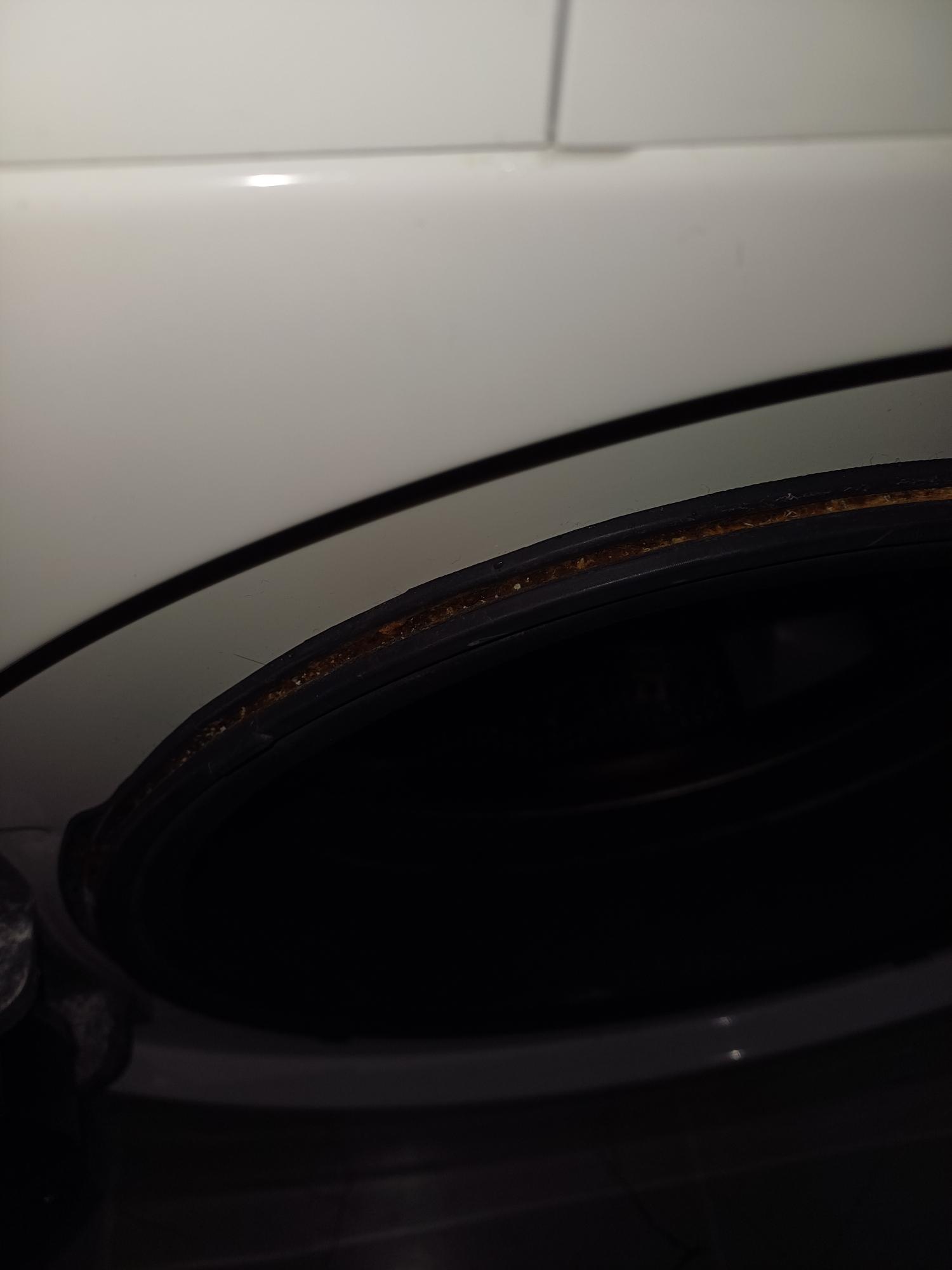 Bosch Washing Machine Rust Issues - Xolvie