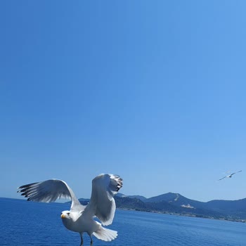 Kappatur Otobüs İle Yunanistan Turu