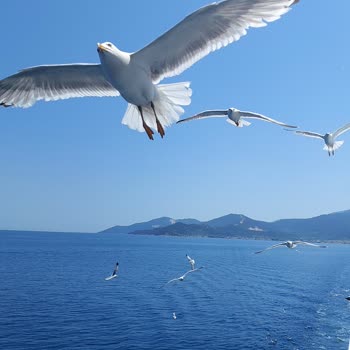 Kappatur Otobüs İle Yunanistan Turu