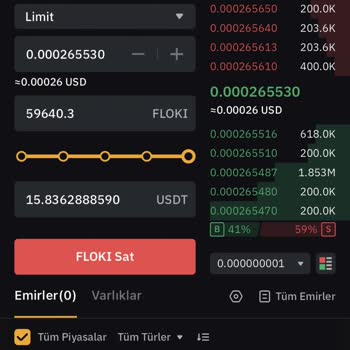 Bybit Borsası Floki Koin