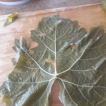 Egeden_81_ile Şikayetçiyim