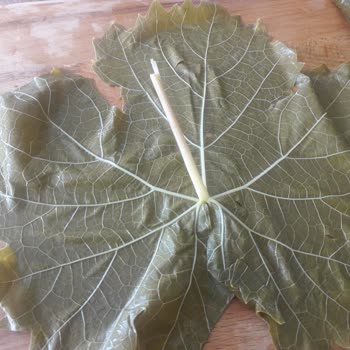 Egeden_81_ile Şikayetçiyim