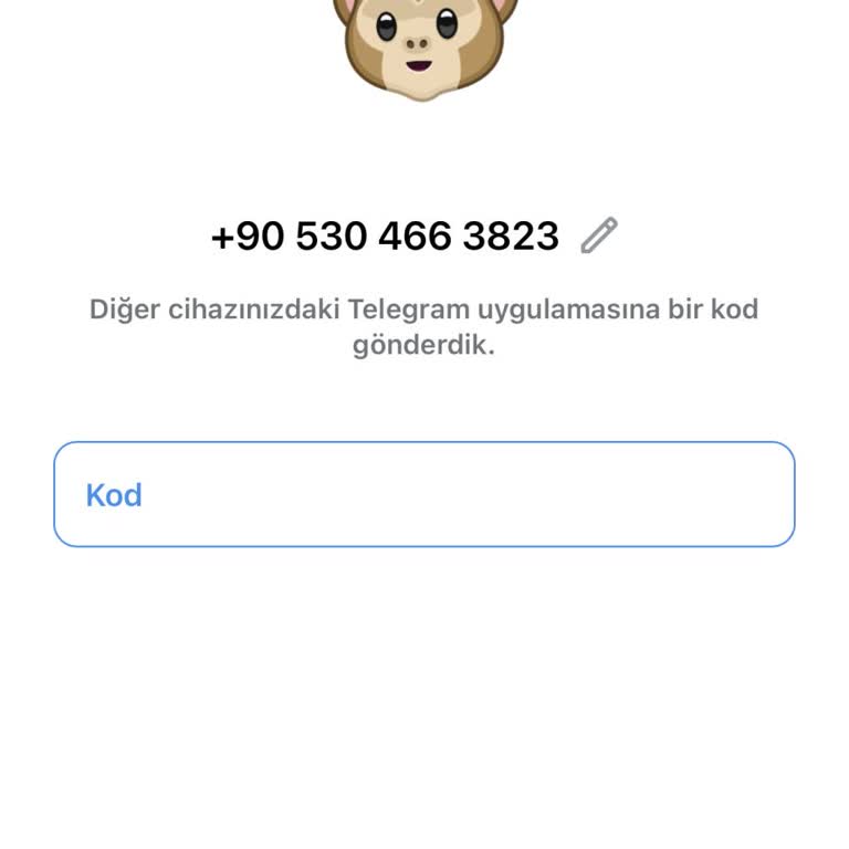 Telegram Hesabımın İzinsiz Kullanımı Hakkında Acil Yardım Talebi
