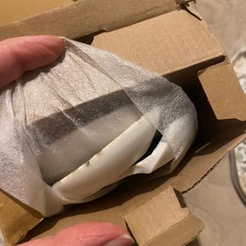 Bernardo Kırık Ürün Tedariği Yapılmadı