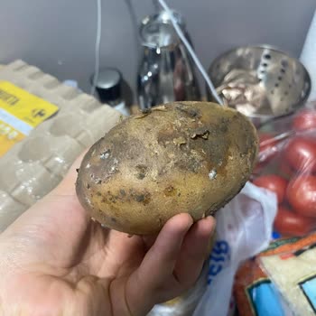 Carrefour SA Sefaköy Armoni Park Şubesinden Gelen Siparişte Soğuk Zincir Problemi