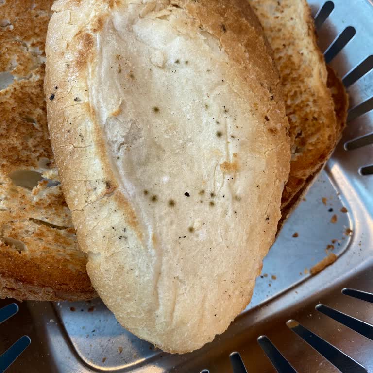 Köfteci Yusuf Ekmeğimiz Küflü Çıktı