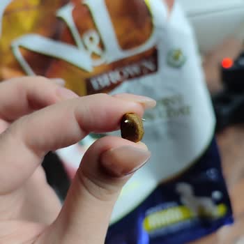 Metal Object Found Inside Farmina Nd Dog Food