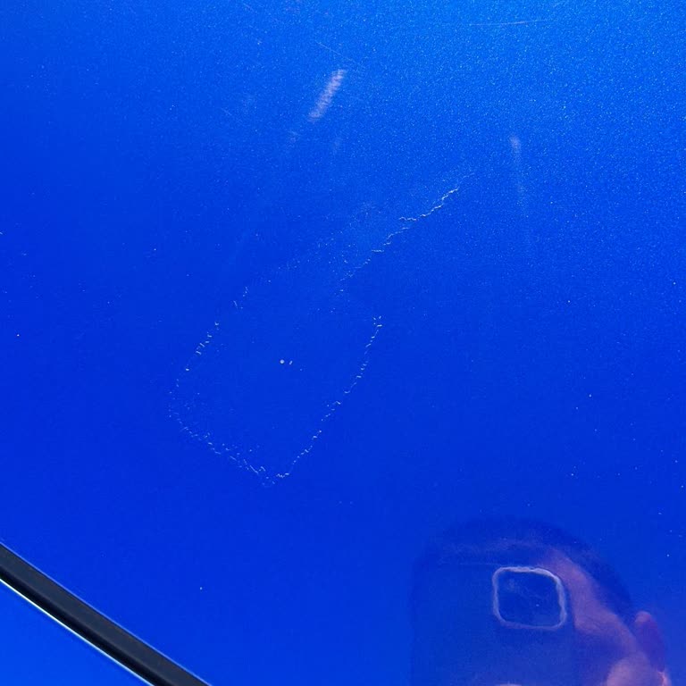 Addressing Chronic Paint Peeling Issue in Honda Vehicles