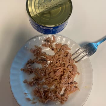 Dardanel Ton Balığı İçindeki Yabancı Madde