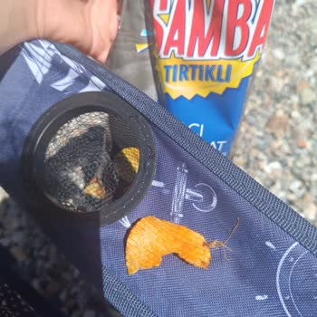 A101 Samba Cipsten İplik Çıkması