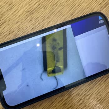 Apple Airpods Pro Şarj Sorunu