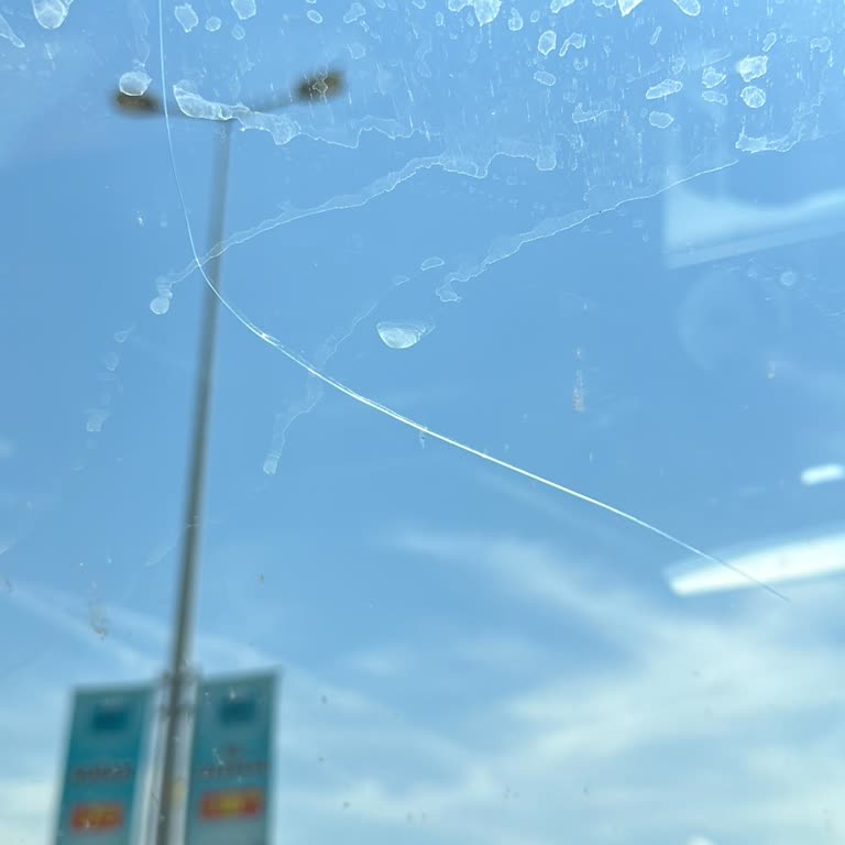 BMW Borusan Oto Servis Problemleri