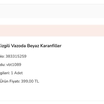 Çiçek Sepeti Teslimat Ve Müşteri Hizmetleri Sorunları