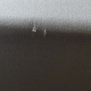 Modalife Deforme Değişim Olmadı