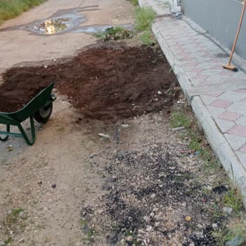 Gelibolu Belediyesi Temizlik İşleri Müdürlüğü İşini Yapmıyor