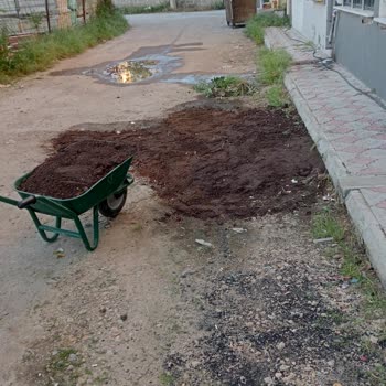 Gelibolu Belediyesi Temizlik İşleri Müdürlüğü İşini Yapmıyor