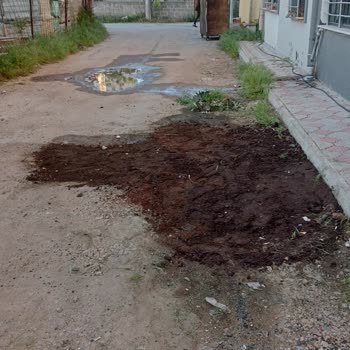 Gelibolu Belediyesi Temizlik İşleri Müdürlüğü İşini Yapmıyor