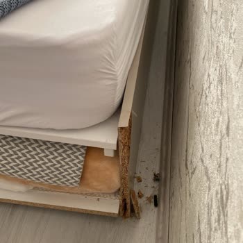 Meltem Modüler Mobilya Genç Odası Mobilya Sorunları Ve Servis Yetersizliği