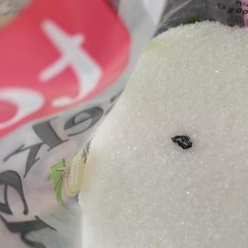 BİM Şafak Kristal Toz Şeker İçinden Siyah Siyah Cisimler Çıktı