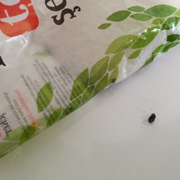 BİM Şafak Kristal Toz Şeker İçinden Siyah Siyah Cisimler Çıktı