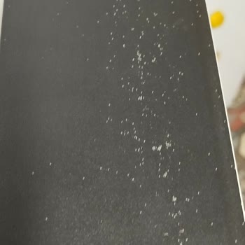 Beko Buzdolabı Dolap Böcekli
