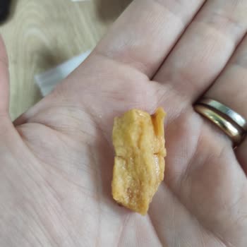 Torku Miniki İçinden Çıkan Cisim