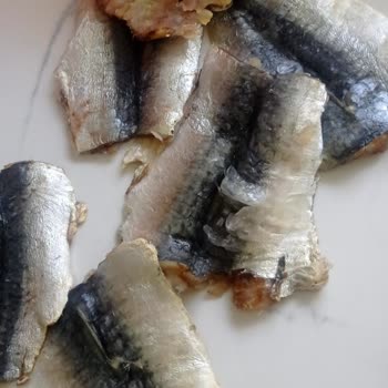 Balık Dünyası Yanıltıcı Marka Temizlenmemiş Balık