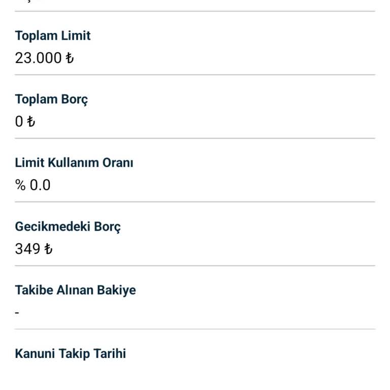 İş Bankası Yanlış Bildirim Sebebi İle Gecikme Görünmesi