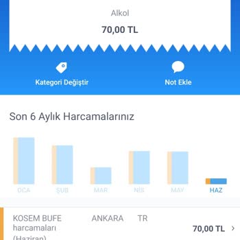İş Bankası Köşem Büfeden Aldığım Ekmeklerin Harcamalarda Alkol Olarak Görünmesi