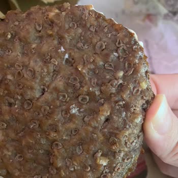 Burger King'de Ne Yediğinizi Bilin!