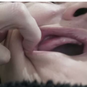 T. C. Cumhurbaşkanlığı CİMER Hiçbir Kurum İnsan Haklarını Savunmuyor