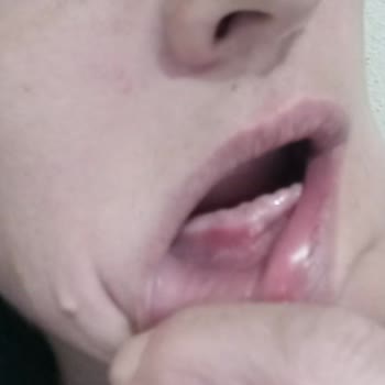 T. C. Cumhurbaşkanlığı CİMER Hiçbir Kurum İnsan Haklarını Savunmuyor