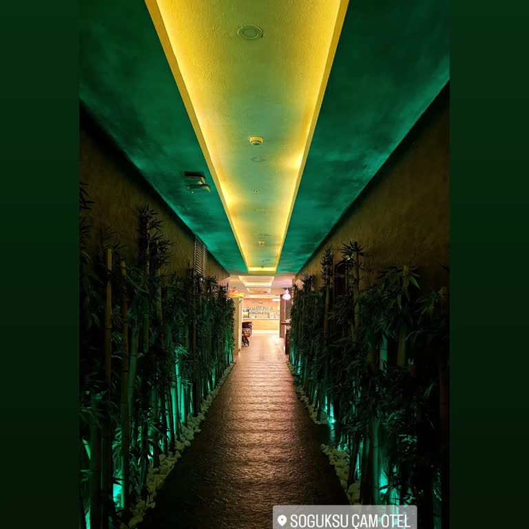 Çam Thermal Resort & Spa Convention Center Çam Otel Resort SPA Ya